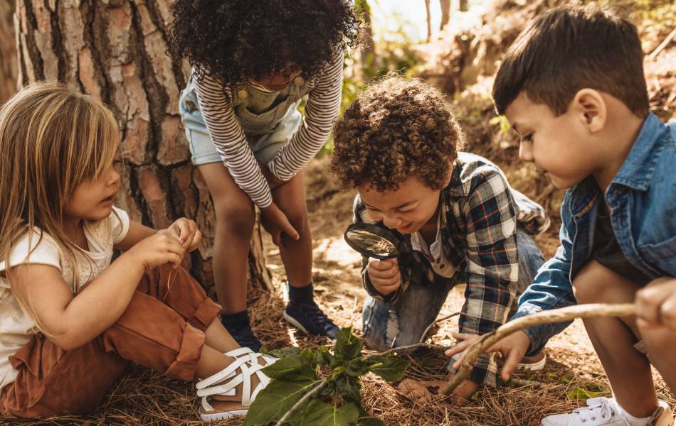 criancas aprendendo sobre a natureza em aula no campo